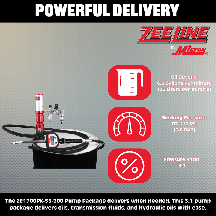 ZE1700PK-55-200 – 3:1 Premium Series Pump Kit 55-Gal w/hose & meter