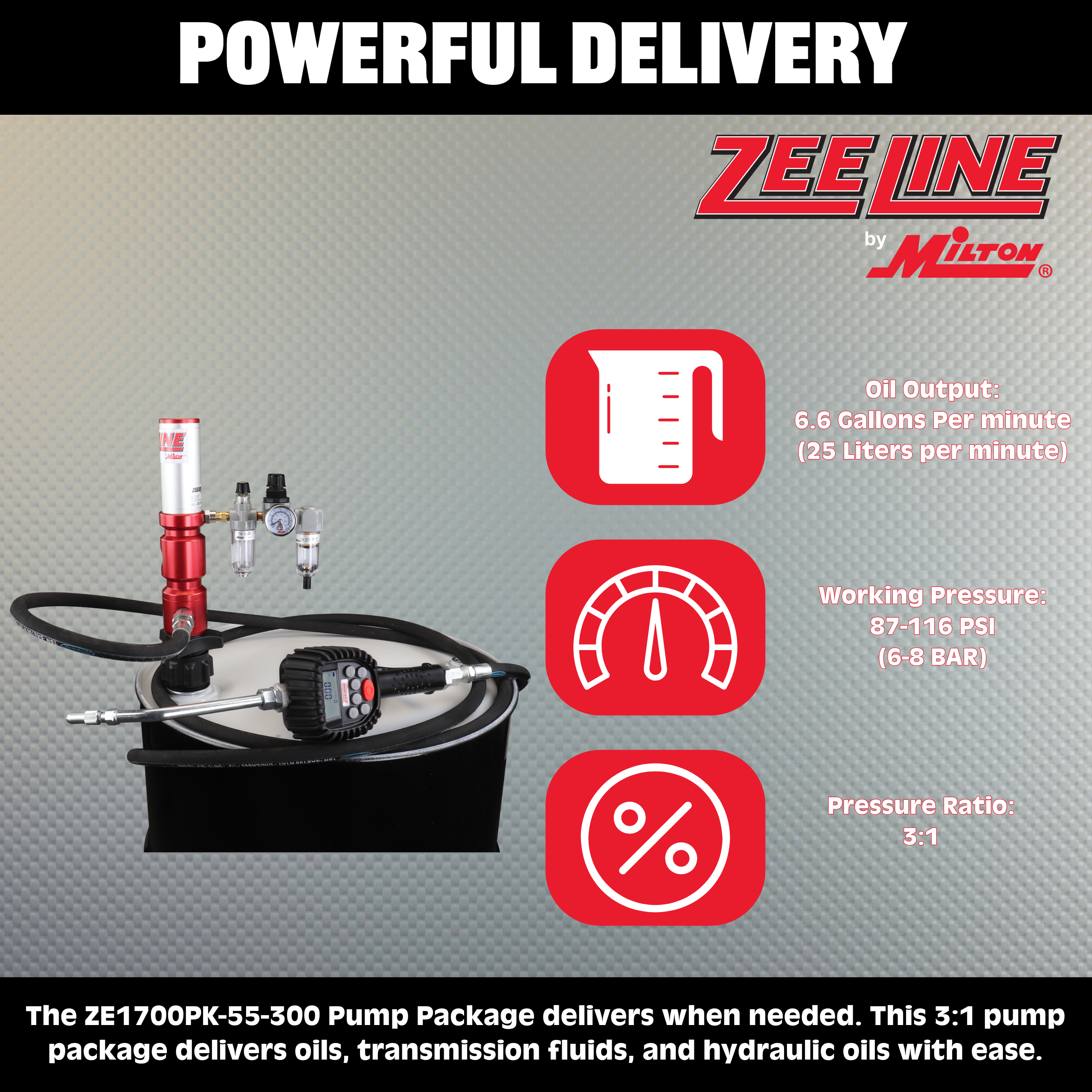 ZE1700PK-55-300 – 3:1 Premium Series Pump Kit 55-Gal w/hose & preset meter